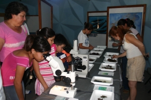 Beneficiarios del PACE