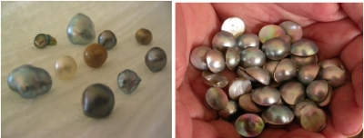 Fig. 1. Desarrollo de joyer&iacute;a con perlas cultivadas (Cortesia de Perlas del Cort&eacute;z)